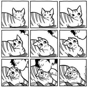 Meet your Posher, Brandy